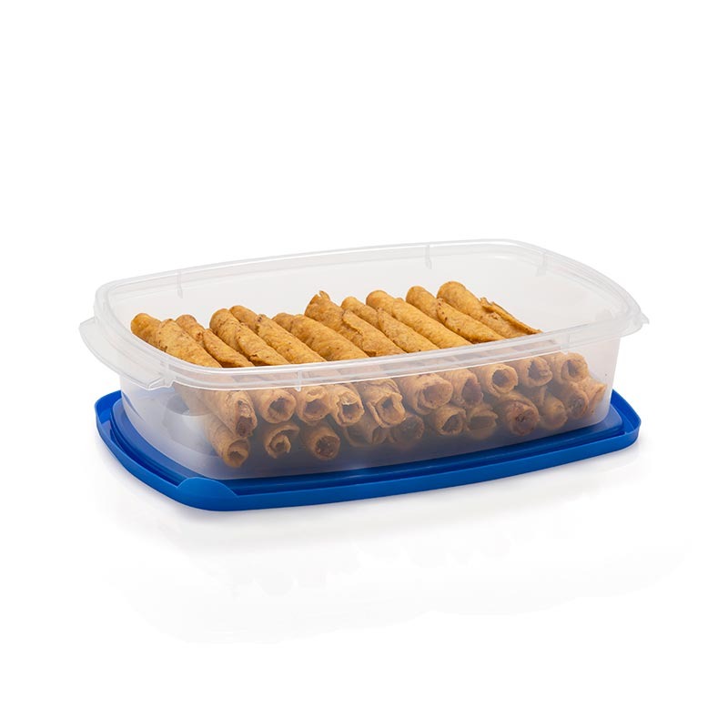 REFRIPRACTIC RECTAN 2L No. 0519