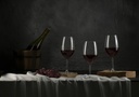 COPA DE VINO LESPRIT 530ml #S014 - 1710972