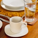 PLATO PARA TAZA 15cm ANTARTIC - 308192