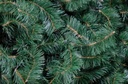PINO ALBERTA VERDE #5 160cm - 31950