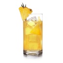 VASO HIGH BALL PEDRADA CRISTALINO 495ml 6779 - 1795434