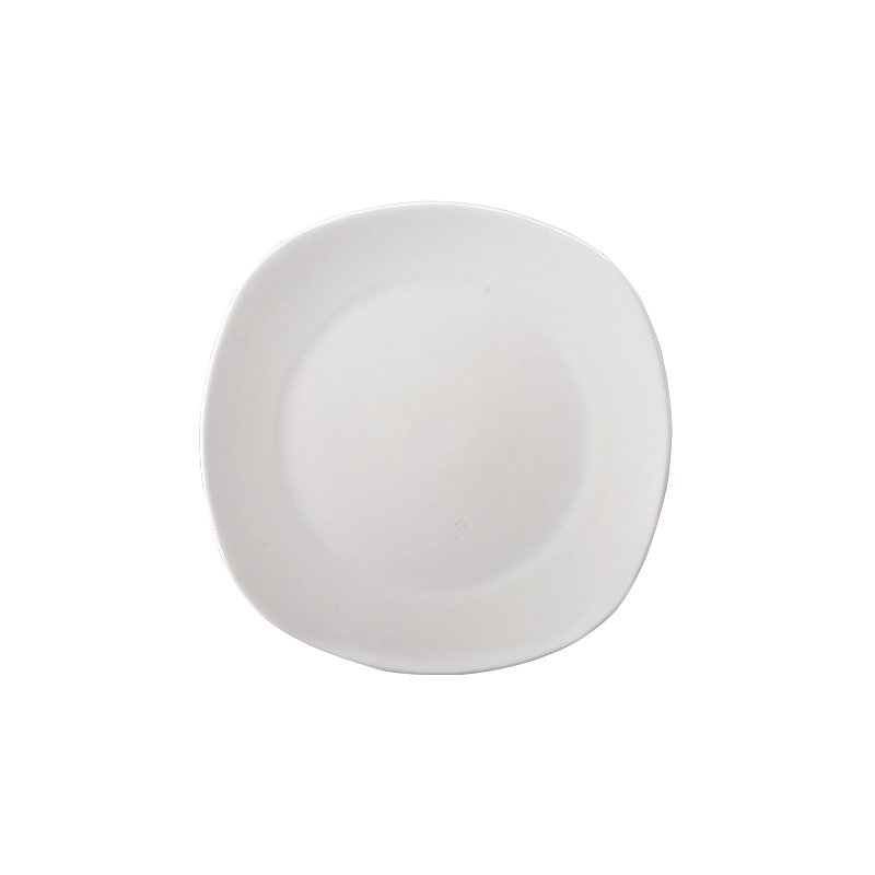 [044120] PLATO TRINCHE 25cm ANTARTIC - 308189