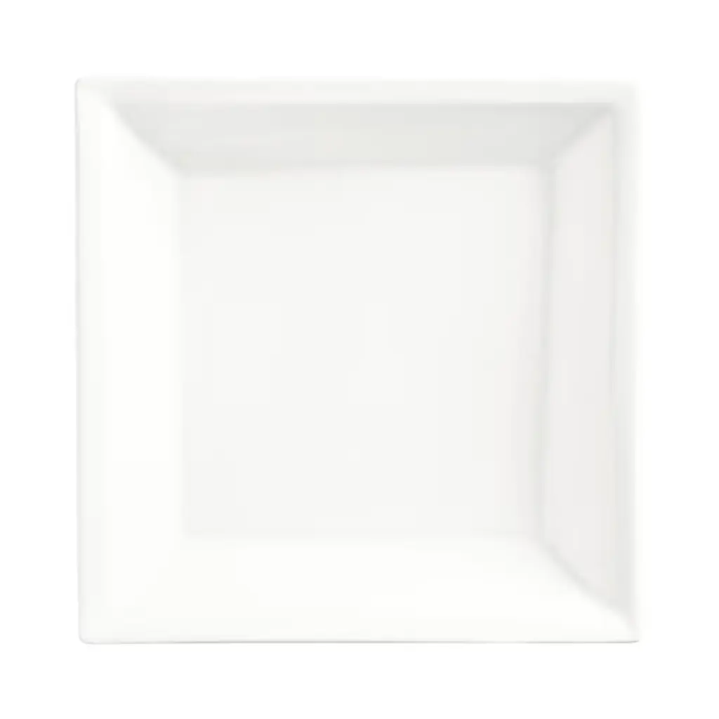 [028049] PLATO PARA SOPA CUADRADO 22 cm / 650 ml - SL-13