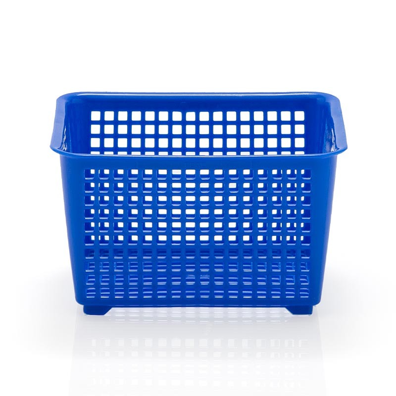 GIPSIE RECTANGULAR - 1881