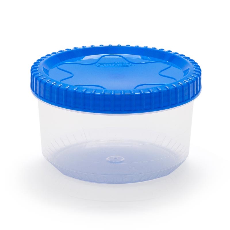 [006805] TAPARROSCA #1 No. 1531