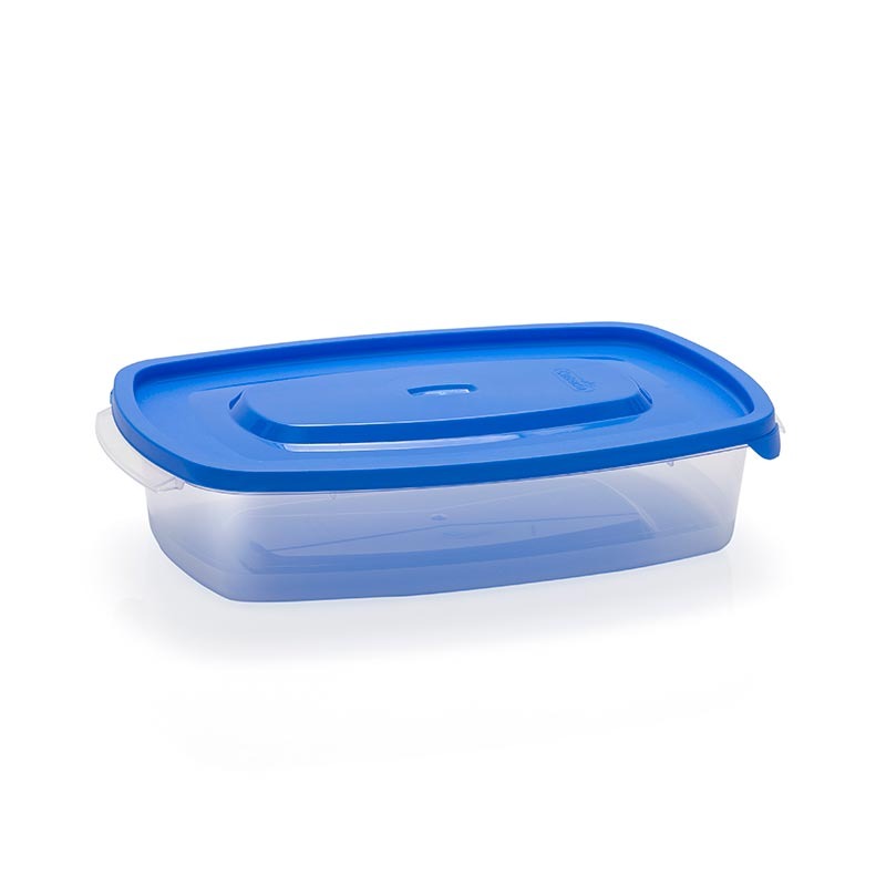 [053062] REFRIPRACTIC RECTAN 2L No. 0519