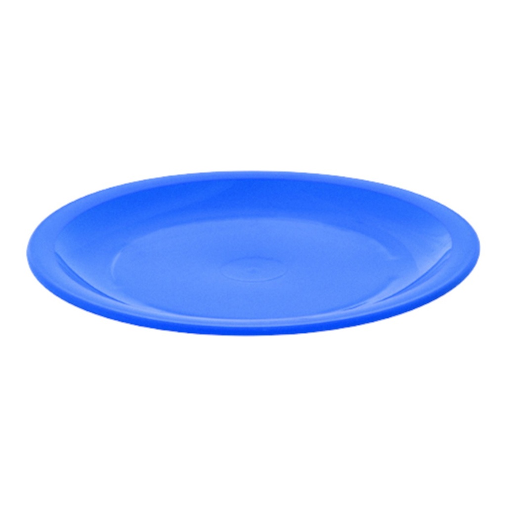 PLATO PLANO EXTRA GRANDE PP 24.5cm - PT1293