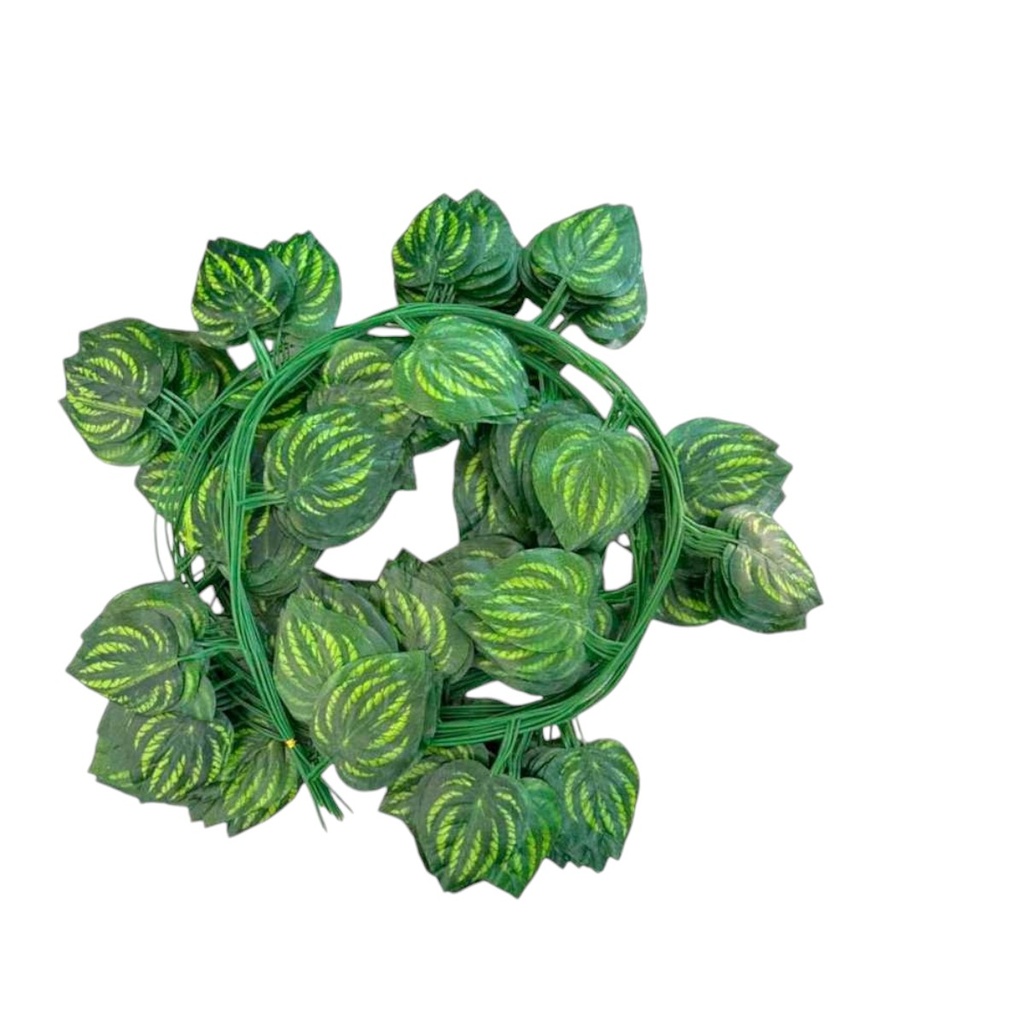 GUIA SANDIA 227CM - 5870097