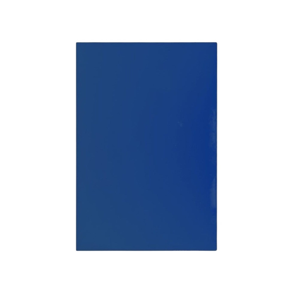 TABLA PARA PICAR DE POLIETILENO AZUL DE 50cm x 35cm x 1/2" - 170-002-113
