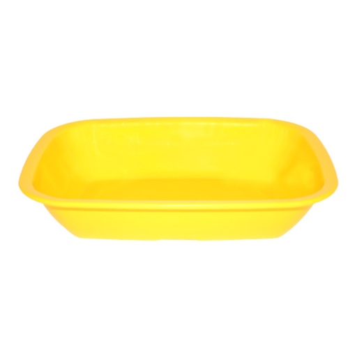 [046661] BANDEJA CUADRILONGO PP 700ml 25x18x5cm - PT1565