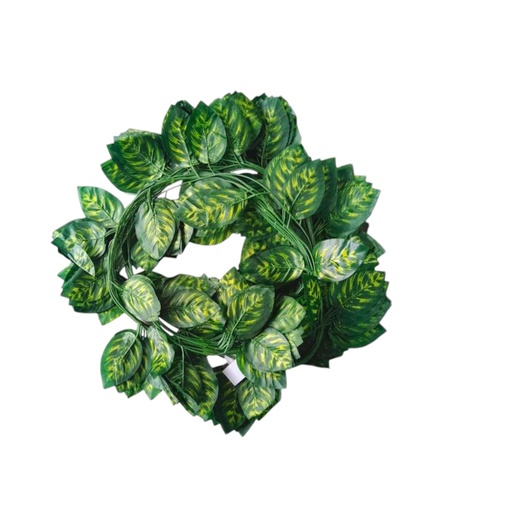 [063355] GUIA VERDE 220CM - 5875924