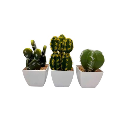 [063383] SUCULENTA SURTIDA 11, 13 Y 10CM - 5867530